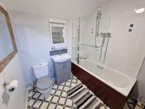 a bathroom with a toilet and a sink and a shower at Swallows Nest in Abergavenny