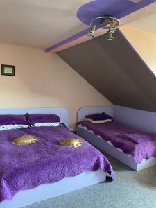 duas camas num quarto com lençóis roxos em Pensiunea Claudia em Beliş
