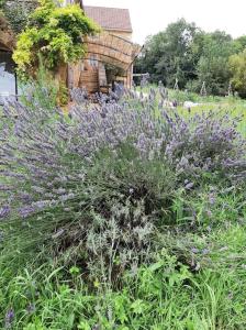 Vonkajšia záhrada v ubytovaní Charmant studio dans maison d'hôte dans un écrin de verdure