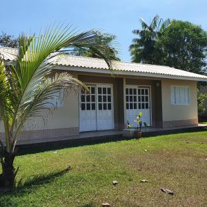 a small house with a palm tree in front of it at Casa Bouganville in Novo Airão