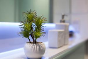 a white vase with two plants in it on a counter at Modern Studio Apartment in prime central location in Edinburgh