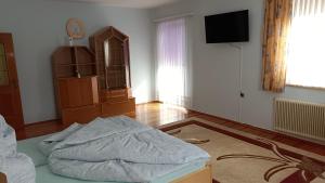 a living room with a bed and a tv at Apartment Monsberger in Wolfsberg