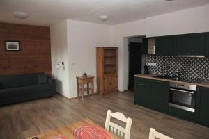 Kuchyň nebo kuchyňský kout v ubytování Aparthotel Mádr