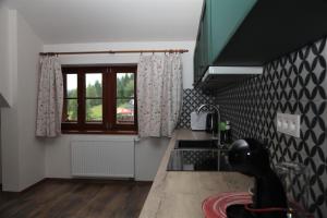 Kuchyň nebo kuchyňský kout v ubytování Aparthotel Mádr