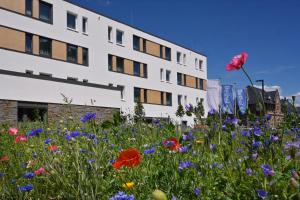 a field of flowers in front of a building at Bethel Hotel zum Weinberg in Bad Neuenahr-Ahrweiler