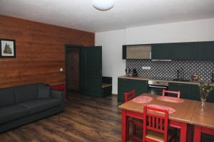 Kuchyň nebo kuchyňský kout v ubytování Aparthotel Mádr