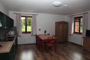 Kuchyň nebo kuchyňský kout v ubytování Aparthotel Mádr