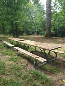 En have udenfor Echo Valley Outdoor Oasis Campsite + 41 billeder