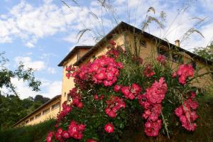 Zahrada ubytování 42 Vacanza di relax in Maremma - wifi - free parking