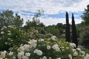 Zahrada ubytování 42 Vacanza di relax in Maremma - wifi - free parking
