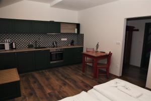 Kuchyň nebo kuchyňský kout v ubytování Aparthotel Mádr