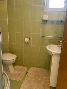 a green bathroom with a toilet and a sink at Villa nad Morem in Podaca +31 photos