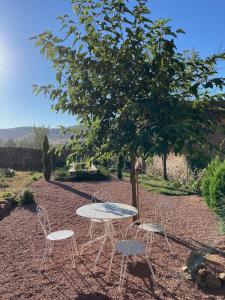 une table et deux chaises sous un arbre dans l'établissement Bourgeoisie @ Brandon, à Brandon