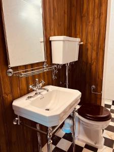 a bathroom with a sink and a toilet at Torreby Slott Hotel & Golf in Munkedal