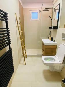 uma casa de banho com um WC e um lavatório em Bethlen Apartman em Odorheiu Secuiesc