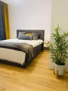 sypialnia z łóżkiem i doniczką w obiekcie Bethlen Apartman w mieście Odorheiu Secuiesc