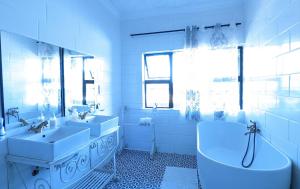 The Residence Villa Chobe的一间浴室