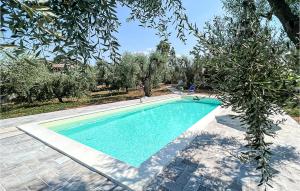 - une piscine dans une cour avec un arbre dans l'établissement Villa Nunzia, à Pisticci