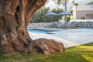 a tree next to a pool with chairs and an umbrella at PAUL'S VILLA PLAKIAS in Plakias