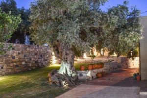 Vonkajšia záhrada v ubytovaní PAUL'S VILLA PLAKIAS