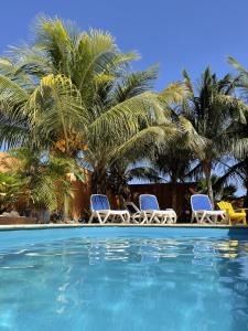 a swimming pool with two chairs and palm trees at Oasis guesthouse, Boutique Style Hotel in Kralendijk