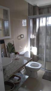 La salle de bains est pourvue de toilettes, d'un lavabo et d'une douche. dans l'établissement Martina Apart, à Puerto Iguazú