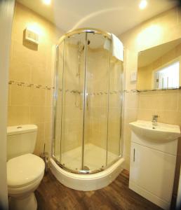 a bathroom with a shower and a toilet and a sink at Queens arms country inn in Glossop