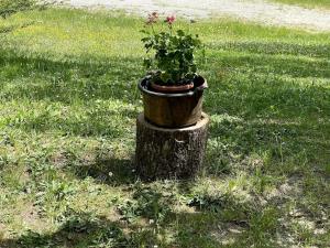 A garden outside casa RIFUGIO OLIVIERI