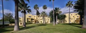 a row of palm trees in front of a building at Parque Mourabel, Oásis Village & Pé do Lago in Vilamoura