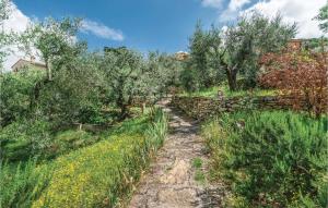 A garden outside Case Sparse San Savino