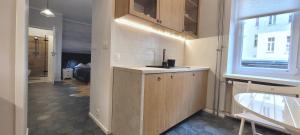 Kuchyňa alebo kuchynka v ubytovaní Kana - Stylish Apartment in Kraków Pomorska - Close, WiFi, Smart TV