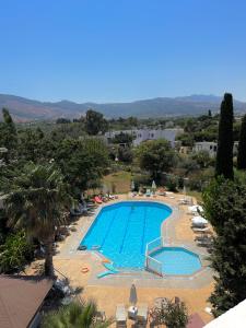 a view of a swimming pool with chairs and trees at Theodorou Beach Hotel Apartments in Kos +35 photos