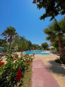 a resort with a swimming pool and palm trees and flowers at Theodorou Beach Hotel Apartments in Kos Town