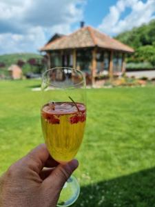 a hand holding a glass of wine in front of a house at Imperator Kvintil apartmani & SPA in Ležimir