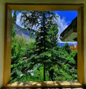 a window with a view of a tree at HIKK Inn in Skardu