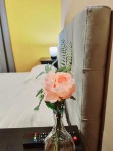 Fotografie z fotogalerie ubytování Rose Guest House v destinaci Pisa