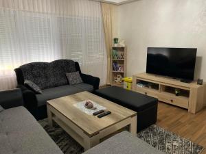 a living room with a couch and a tv at Anja Apartman in Bosanski Šamac