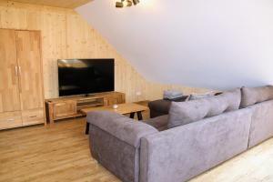 a living room with a couch and a flat screen tv at BaumKrone im Happy Allgäu - 2-stöckige Wohnung mit Wohnnetz in Leutkirch im Allgäu