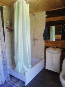 a bathroom with a shower and a tub and a sink at Сясьстрой Уютный дом in Podryabin'ye
