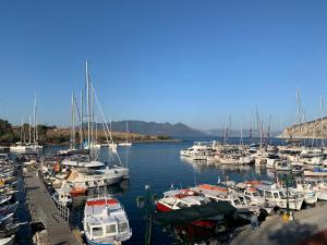 a bunch of boats docked in a harbor at La Bandolaise à Perdika in Perdika