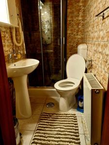 W łazience znajduje się toaleta, umywalka i prysznic. w obiekcie Pensiunea Don Sergio w mieście Predeal