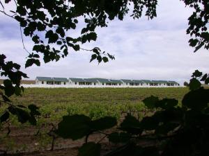 a farm in the middle of a field at D'Aria Guest Cottages in Durbanville