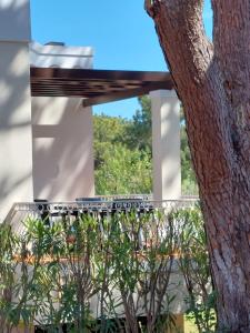 a tree in front of a white building at Quinta do Lago Golf, Sea & Sun in Quinta do Lago