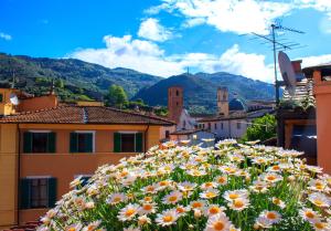 a bunch of flowers on the side of a building at Hotel Palagi in Pietrasanta