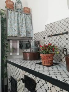 una cucina con bancone e fiori di Adeste 41 a Scicli