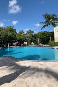 a large blue swimming pool with a palm tree in the background at Beautiful Miami Place in Miami Beach