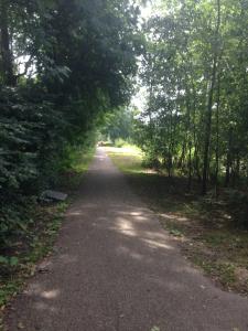 a path in the middle of a park with trees at de Rentmeester in Amstelveen