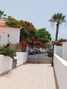 Kép Jacuzzi House Sunflower szállásáról Costa Del Silencióban a galériában