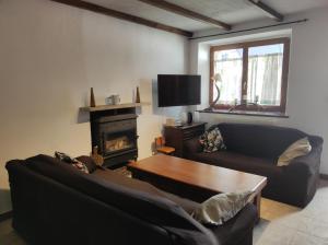 a living room with two couches and a fireplace at CASA RURAL EL TOLEO in Hoyos del Espino