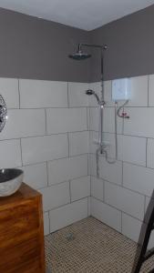 a bathroom with a shower and a sink at Bois de Santal in Saint-Pierre